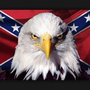 Meet your Posher, Fred